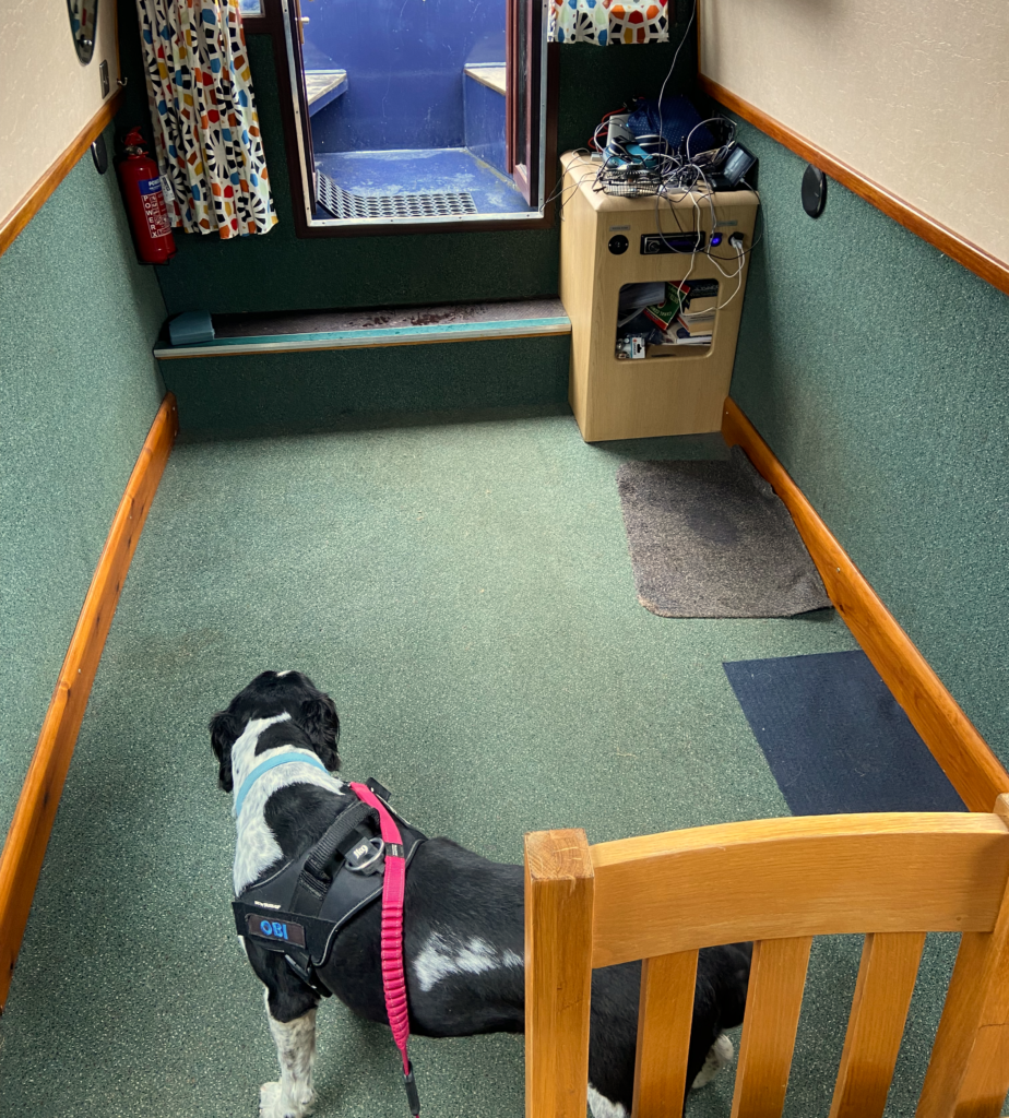 Obi waiting to see what is happening now we have cleared the lounge.