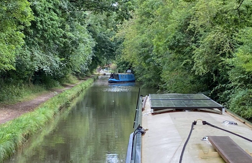 The Dog Bow Locks Adrift